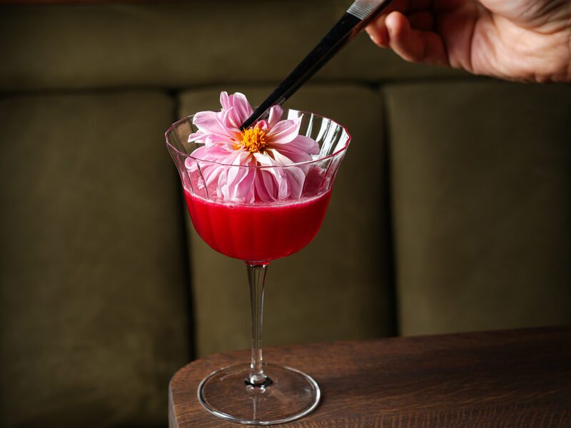 Coupe cocktail garnished with a fresh dahlia